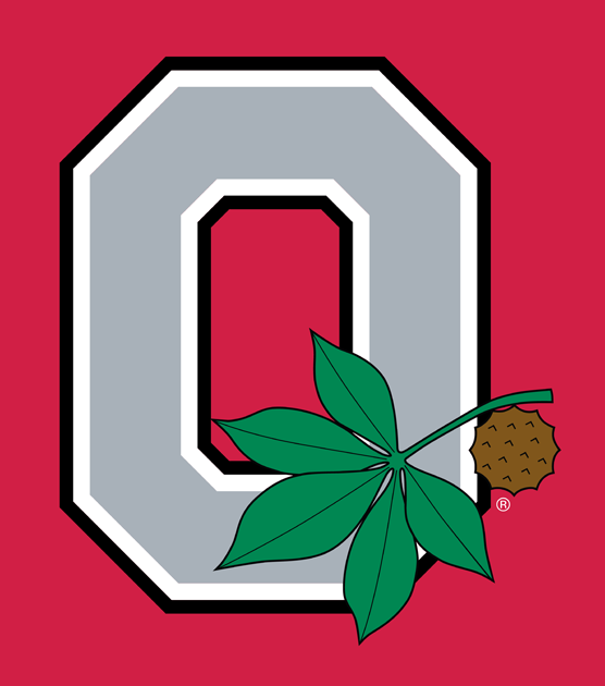 Ohio State Buckeyes 1968-Pres Alternate Logo t shirts iron on transfers v4